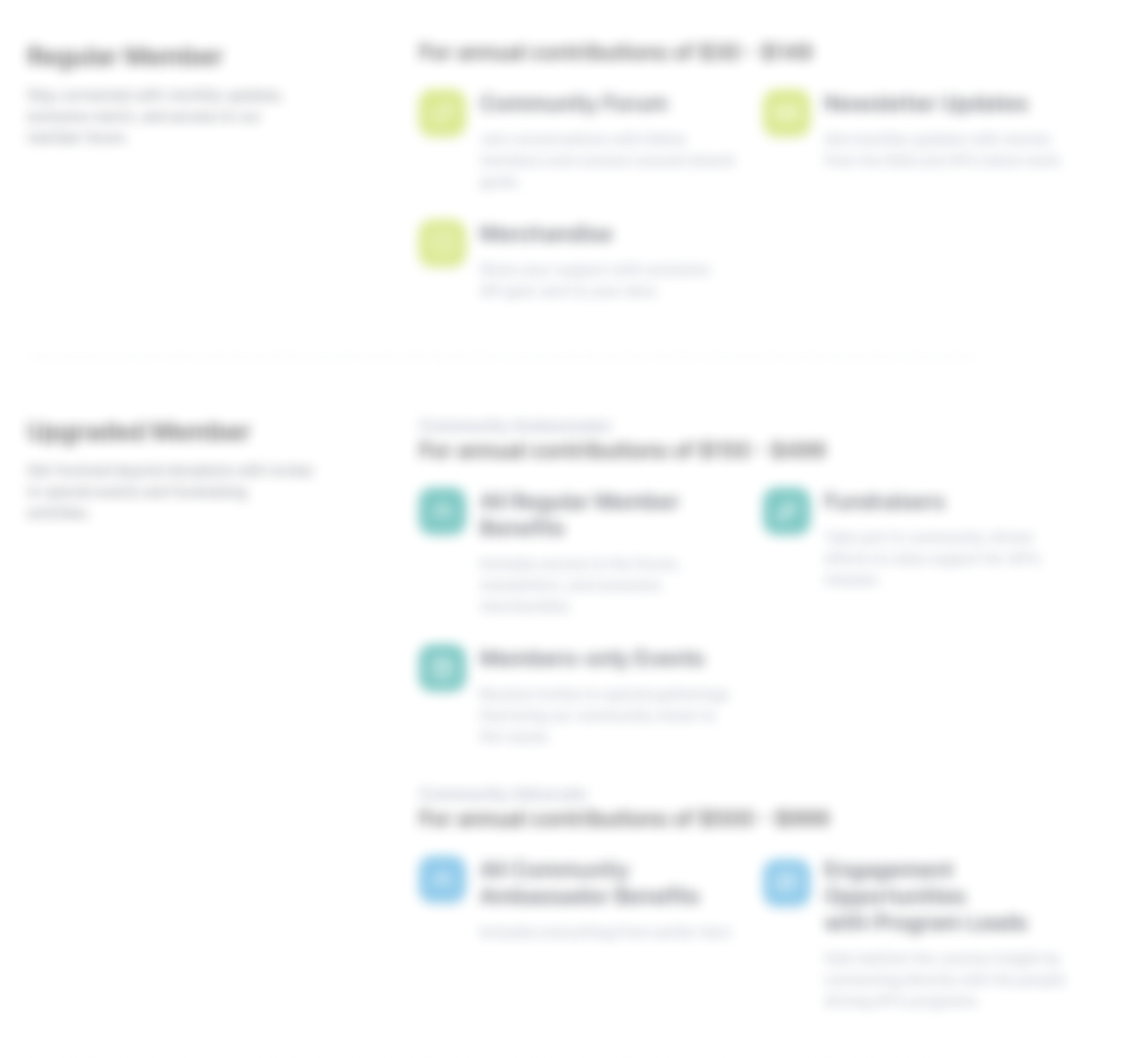 Detailed view of a single donation tier, highlighting benefits and monthly contribution options with clean, user-friendly layout