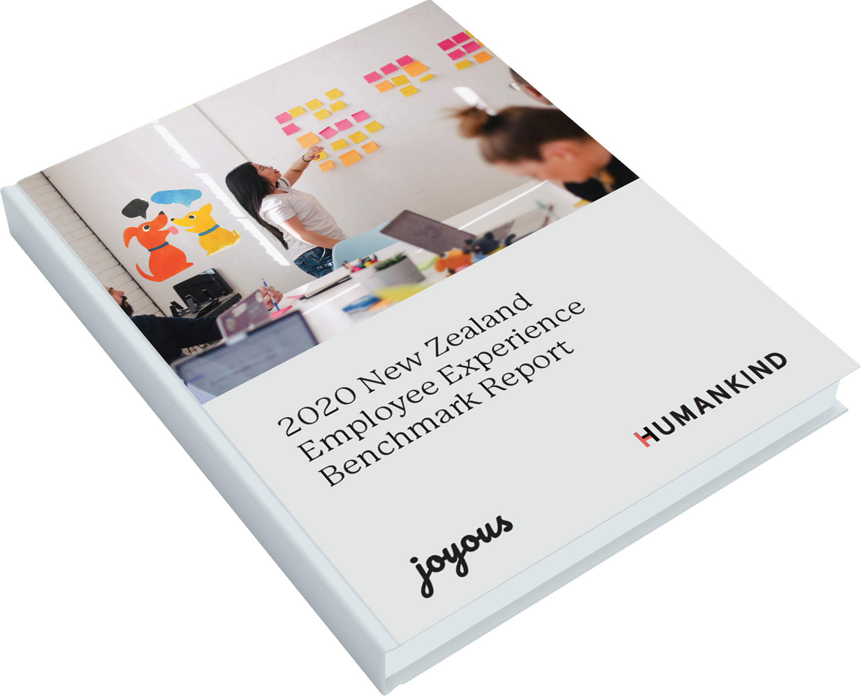 New Zealand Employee Experience Benchmark Report