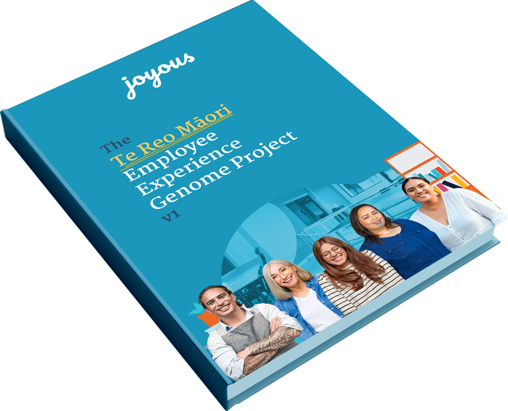 The Te Reo Māori Employee Experience Genome Project