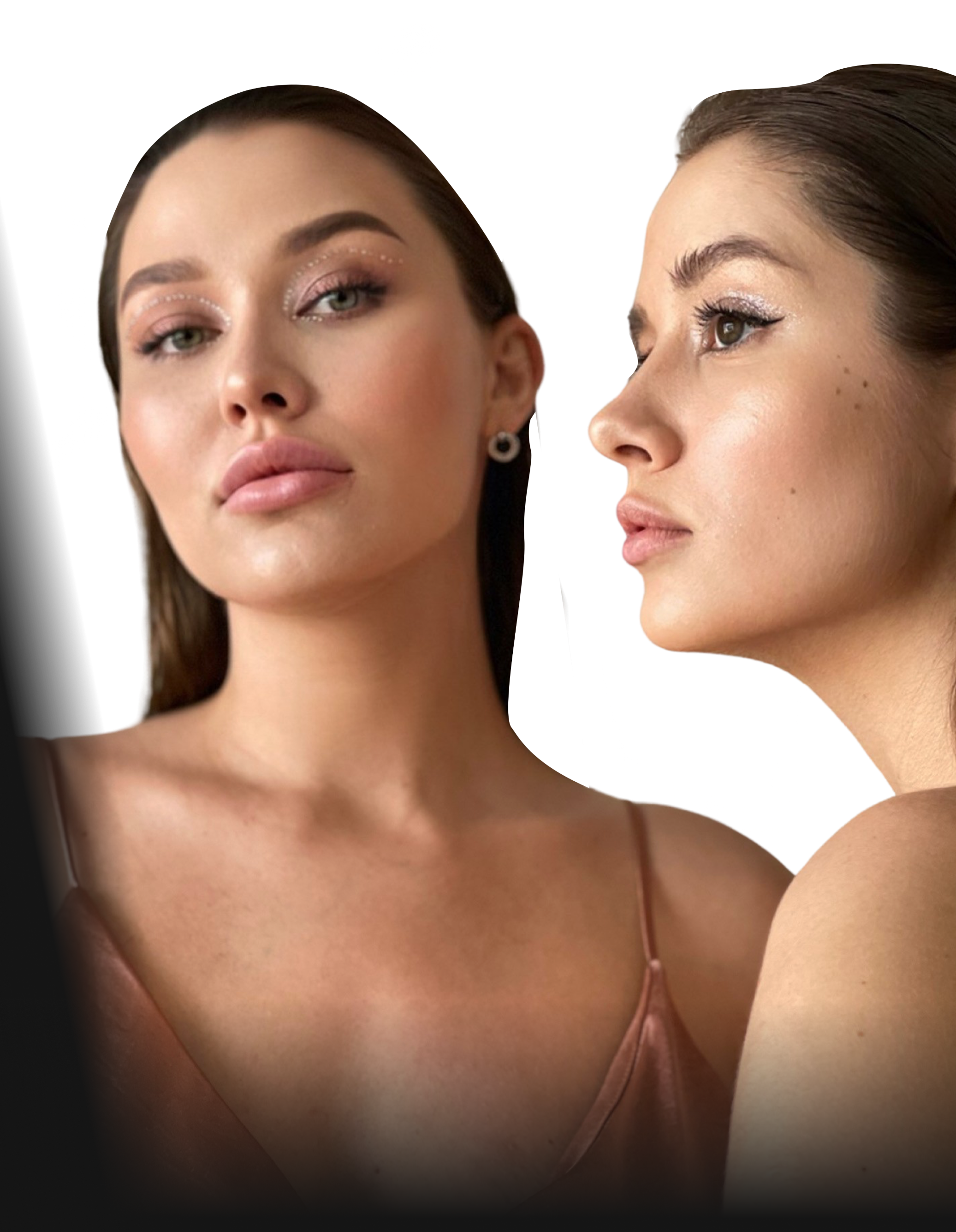 authors of the course