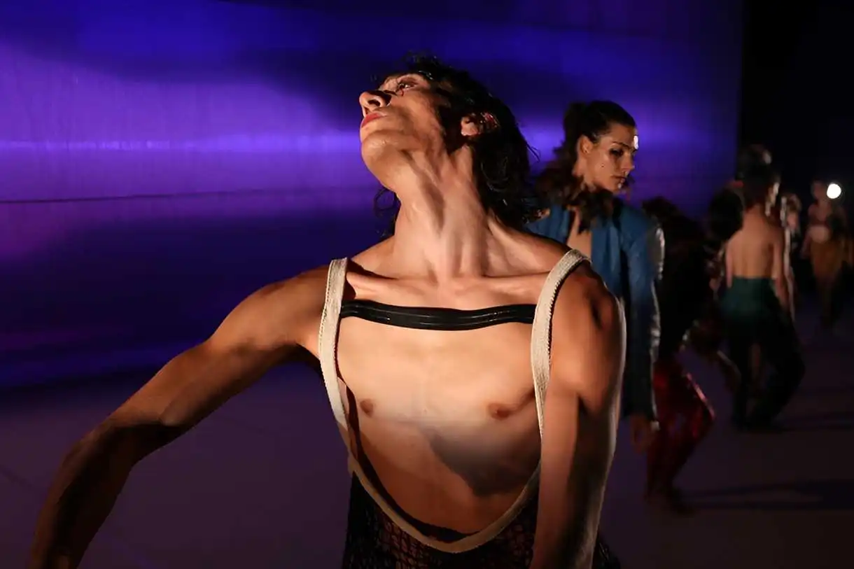 Meilleurs spectacles de danse : Les Oiseaux de Lenio Kaklea à Chaillot