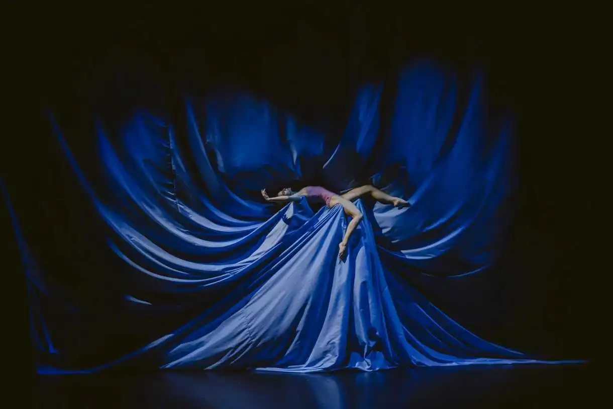 Spectacle de danse à voir : Hamlet prince du Danemark