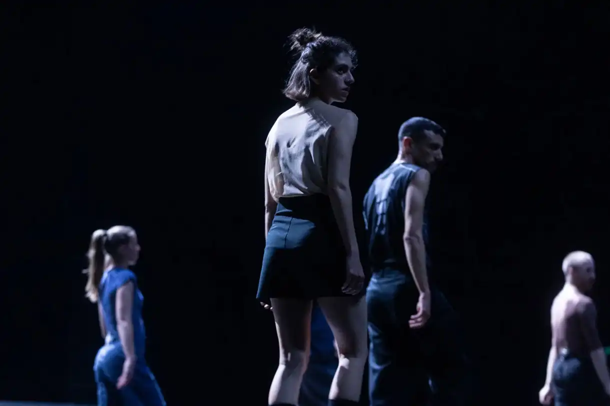 Meilleurs spectacles de danse : My Fierce Ignorant Step C Papadopoulos