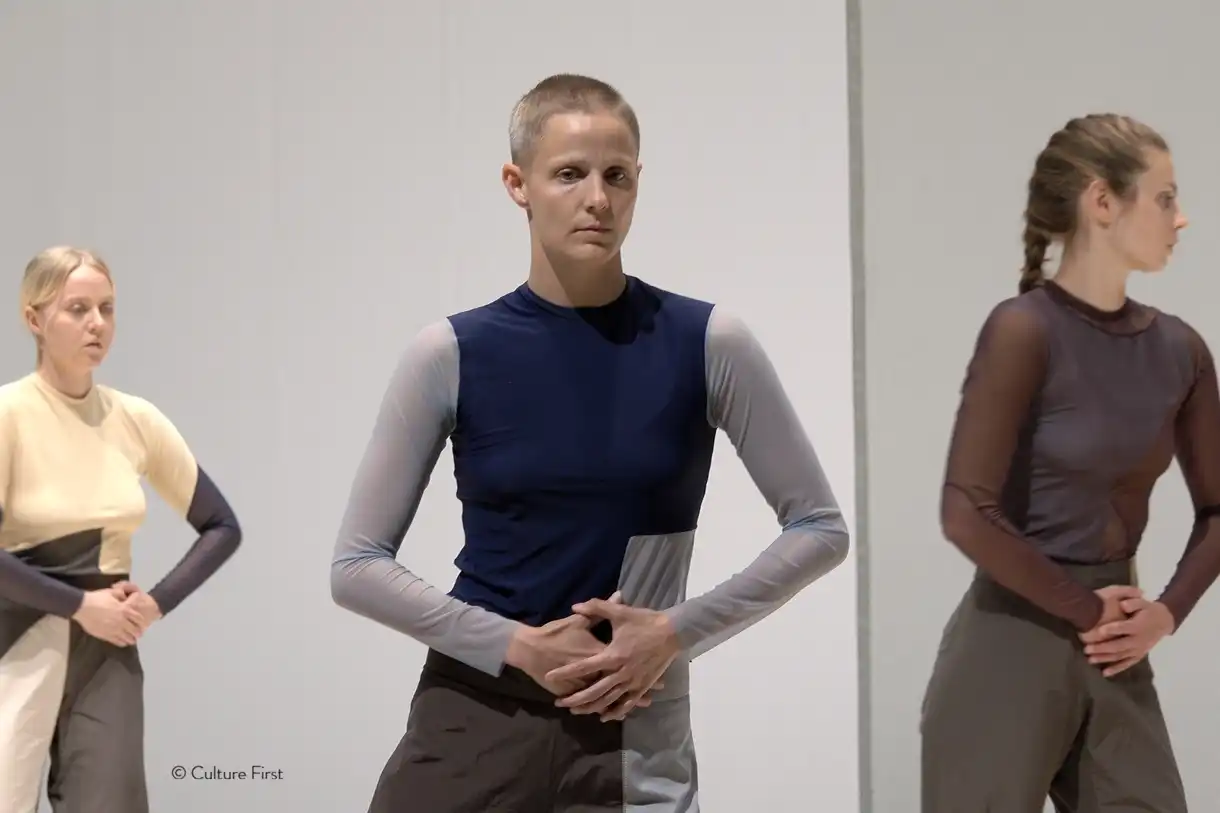 Meilleurs spectacles de danse : Armin Hokmi - Bazm Repertoire