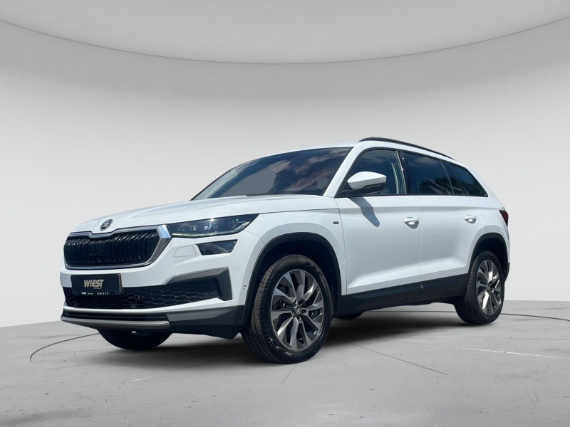 Škoda Kodiaq Clever 4x4 2.0 TDI DSG AHK RFK LED Navi ACC