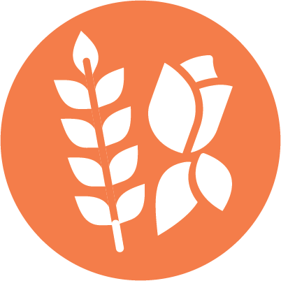 Wheat and flower icon representing economic justice