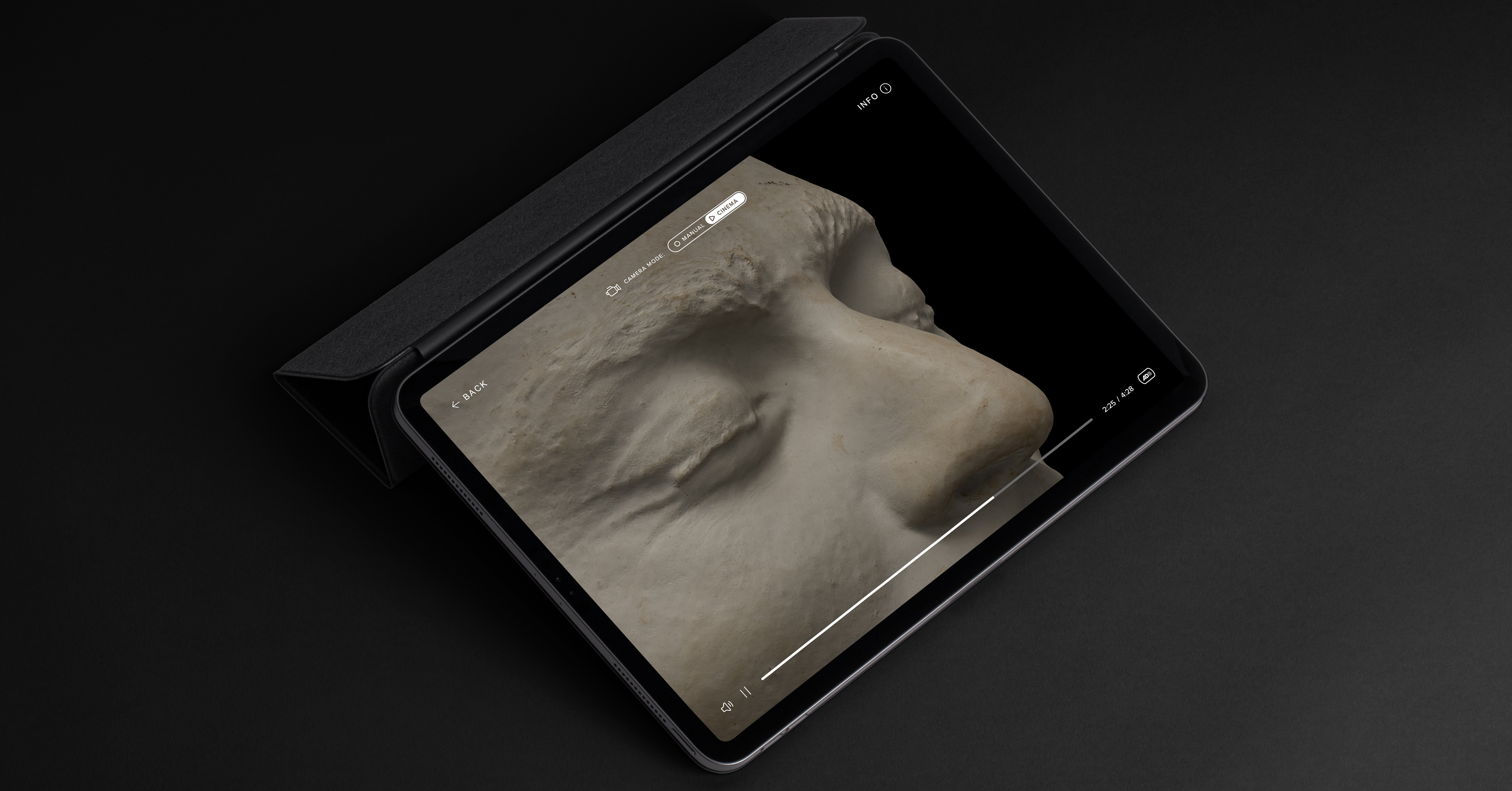 Tablet displaying a close-up of a death mask.