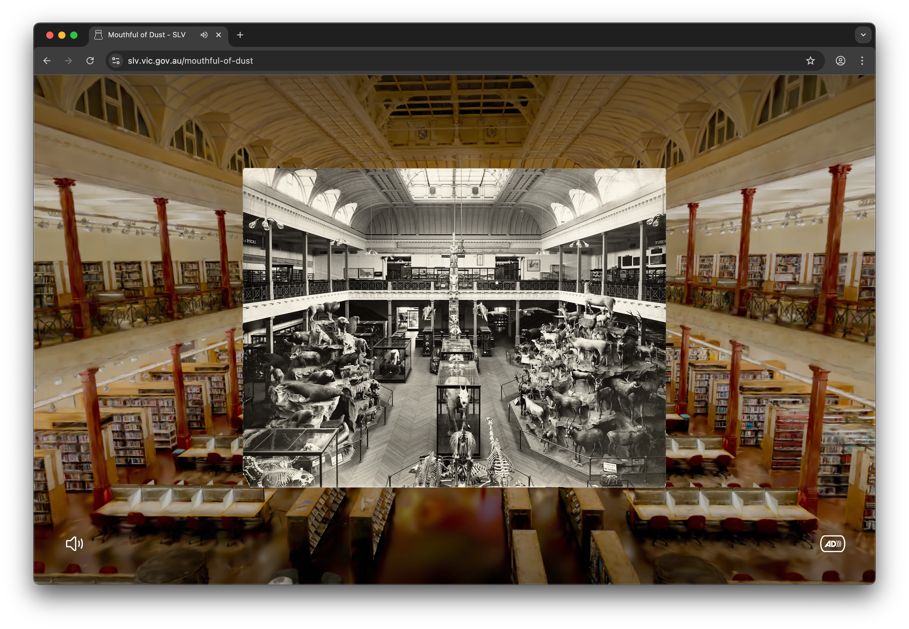 A browser window displaying a website with a sepia-toned library interior background and a black-and-white historical photo the same room filled with taxidermy animals overlayed in the centre. 