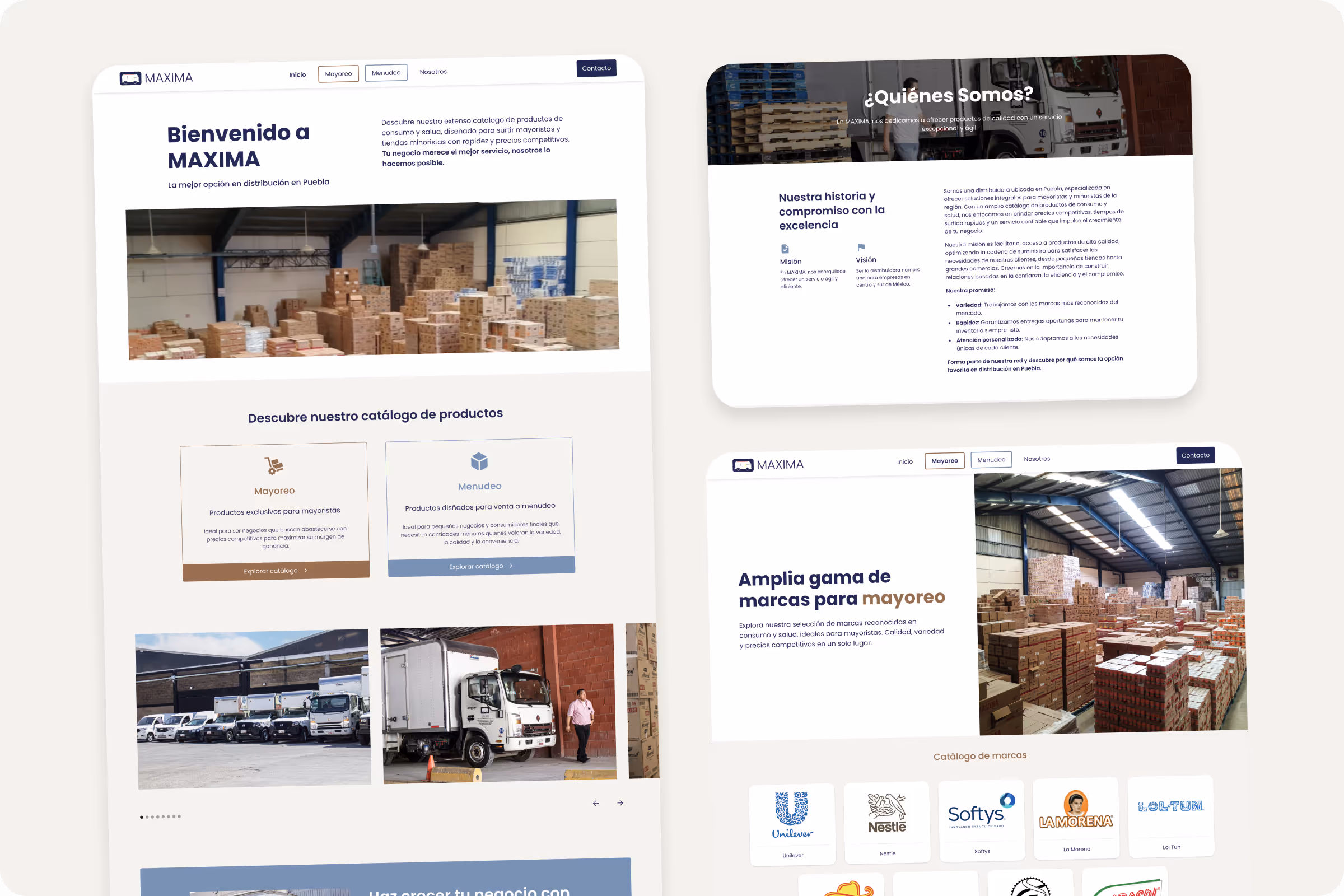 maxima diseño de página web