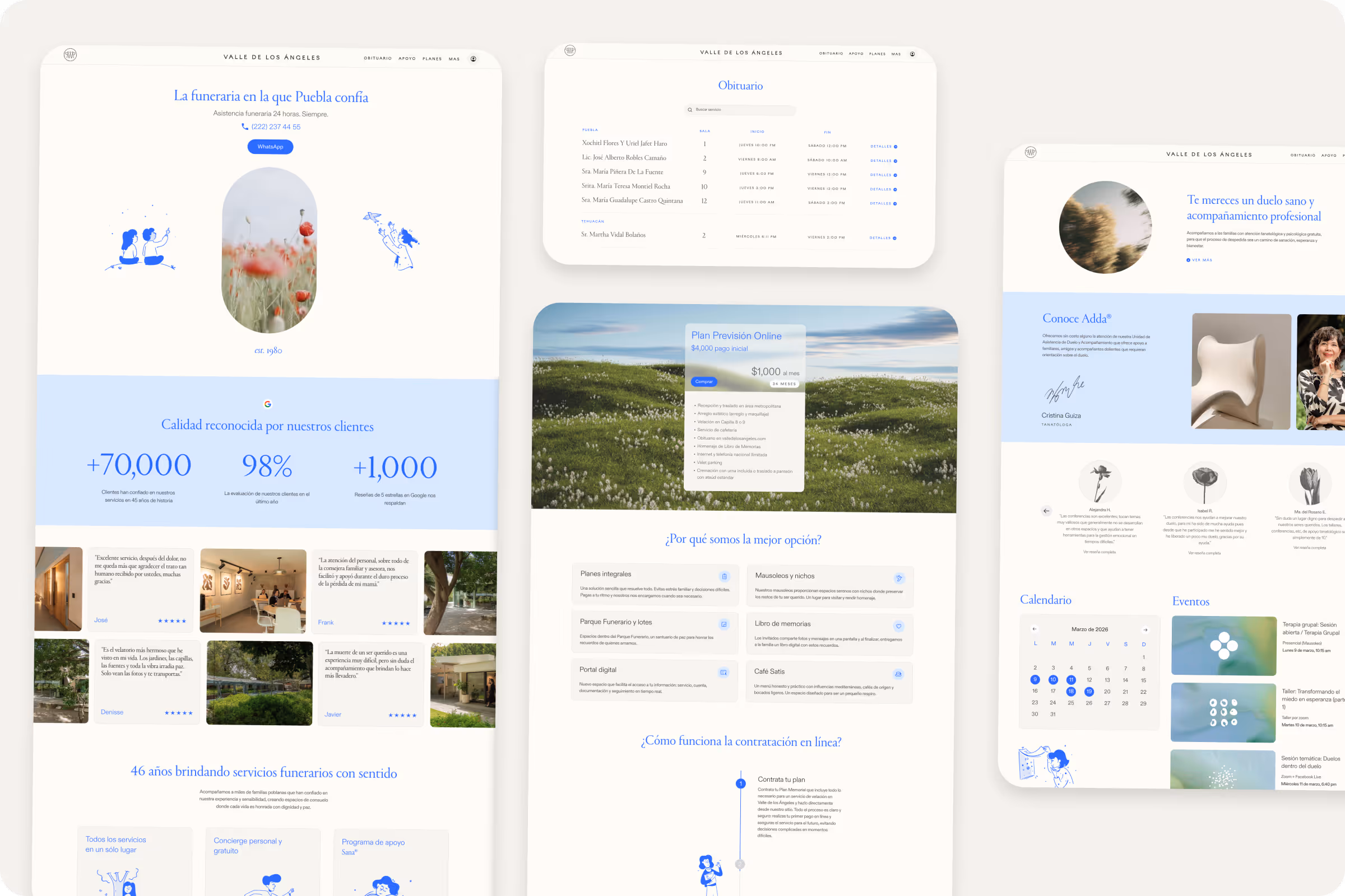 Valle de los Ángeles Diseño web