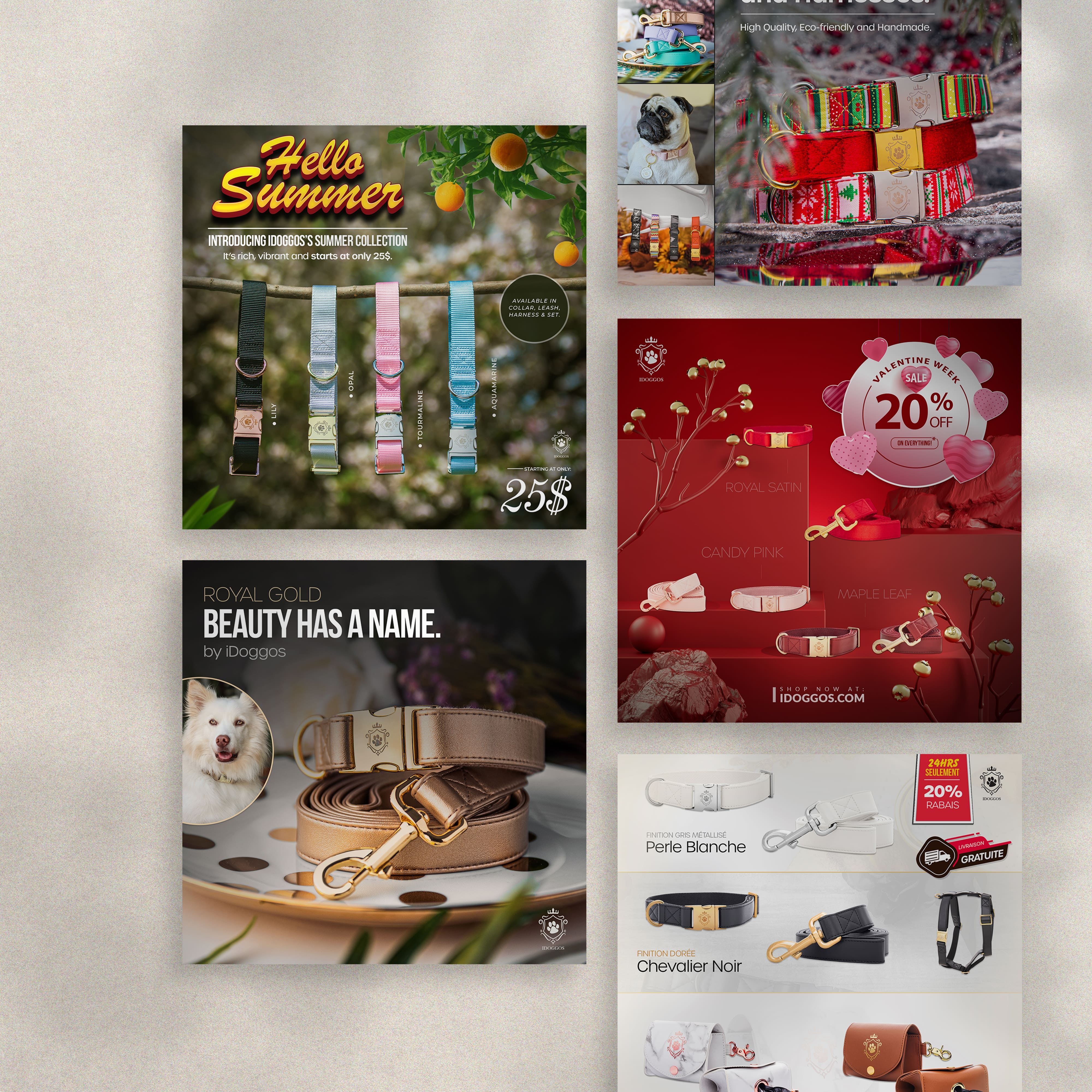 visuels pour réseaux sociaux pour iDoggos, design graphique et branding à Montréal