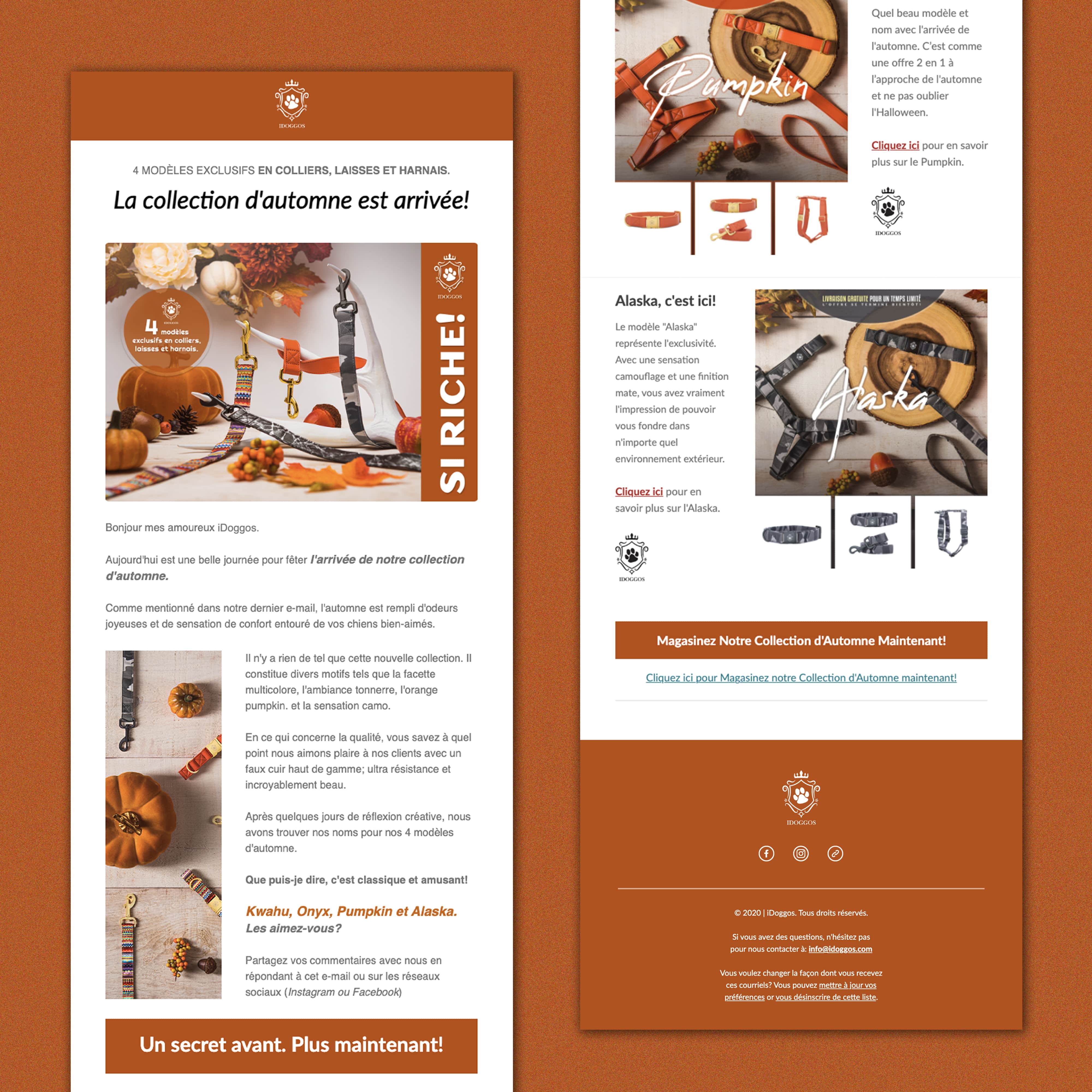 design de campagnes email marketing pour iDoggos, branding et graphisme à Montréal