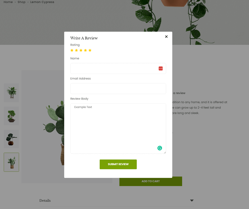 Webflow Modal