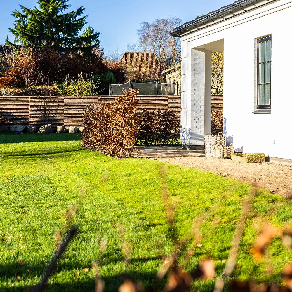 Nylagt græsplæne ved nybyggeri