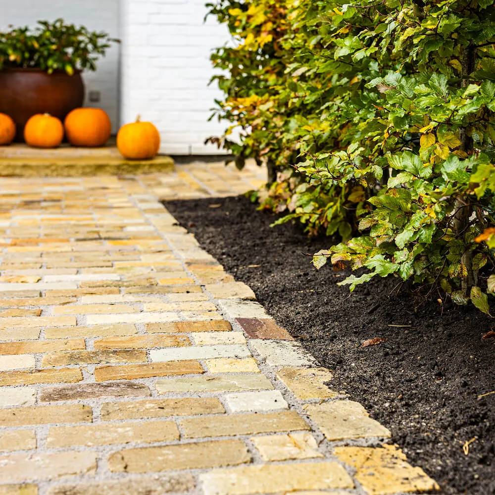 Finish på flisebelægning af natursten afsluttet skarpt mod den nye hæk.