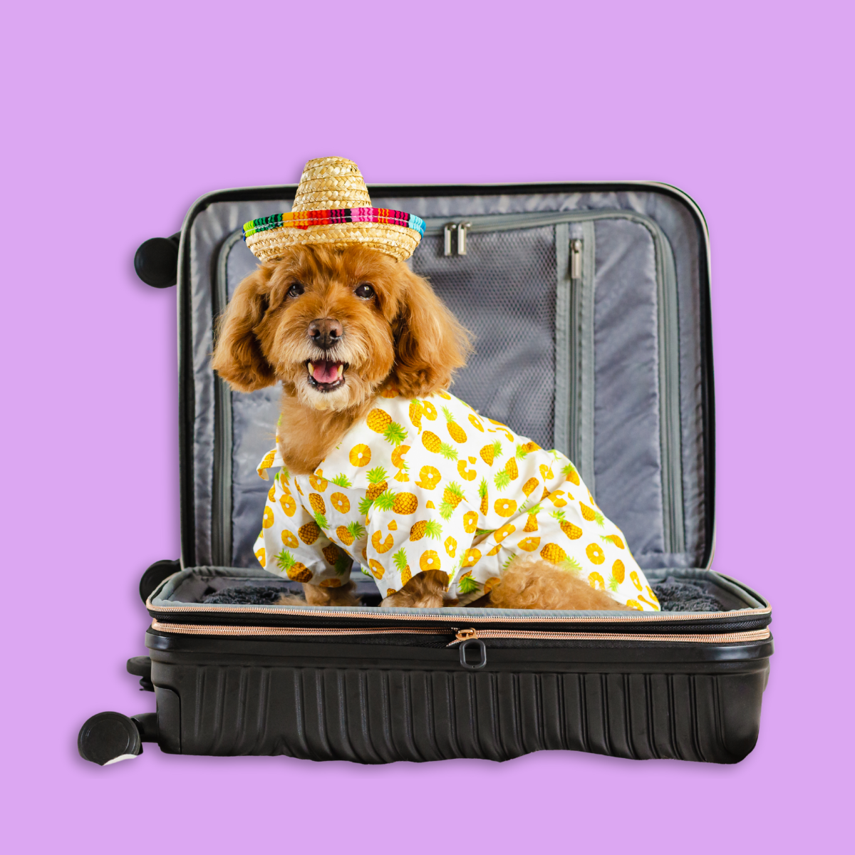 Do you have marketplace insurance? Here is what you need to know when traveling.