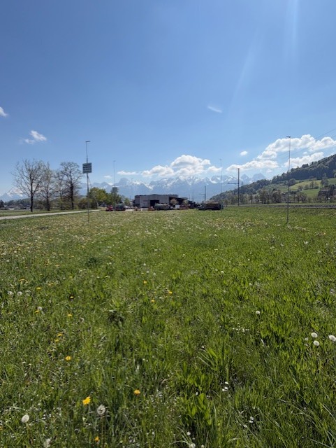 Neubau: Profile stehen