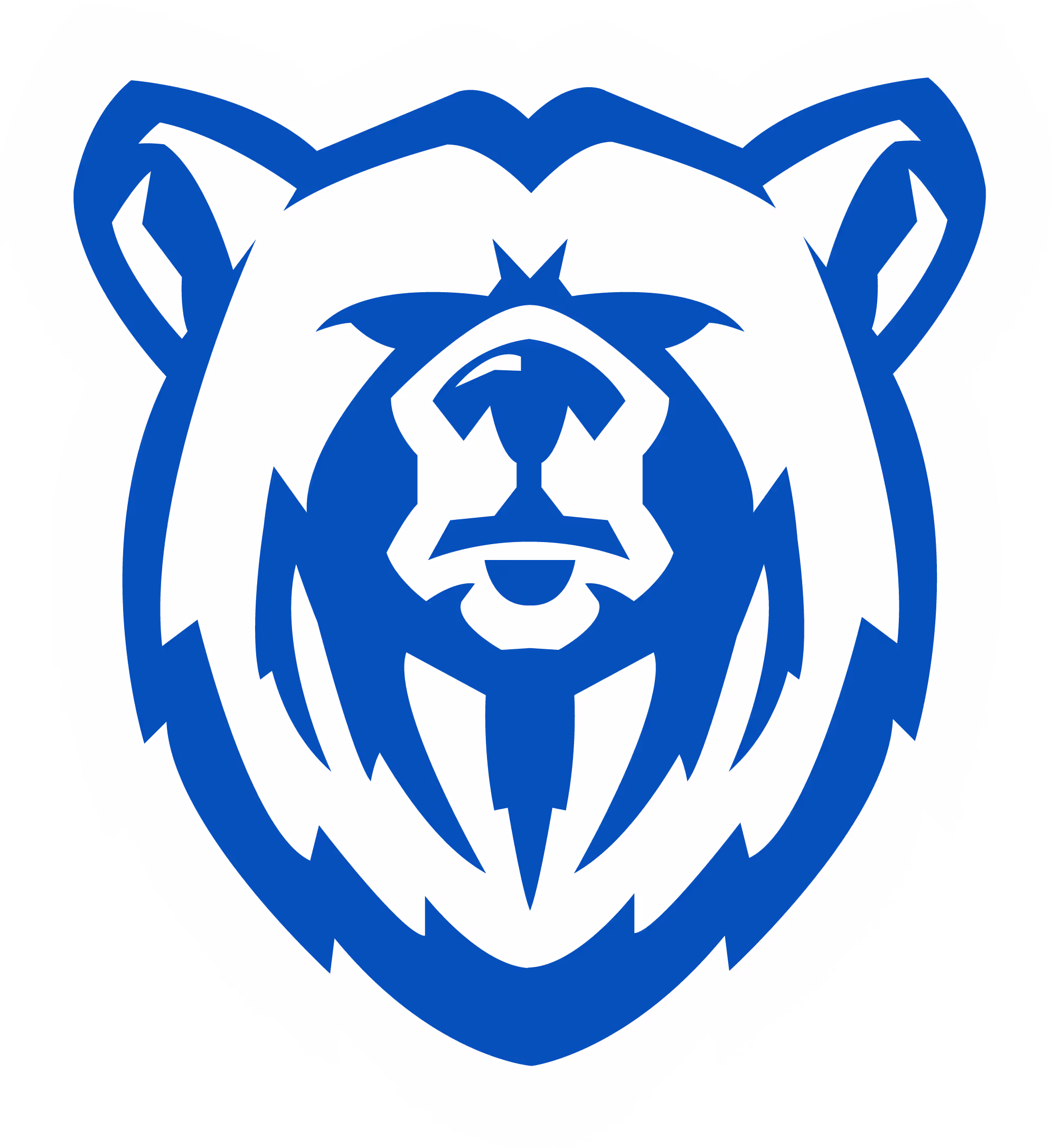 Blue Bear Roofing in New Mexico logo