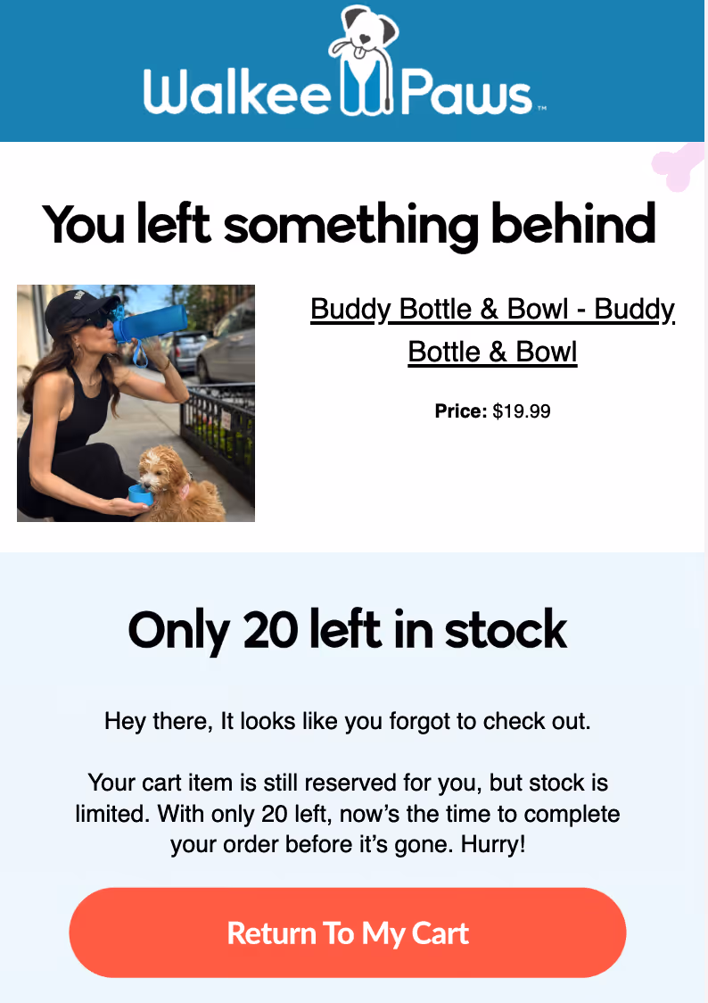 Abandoned cart recovery email