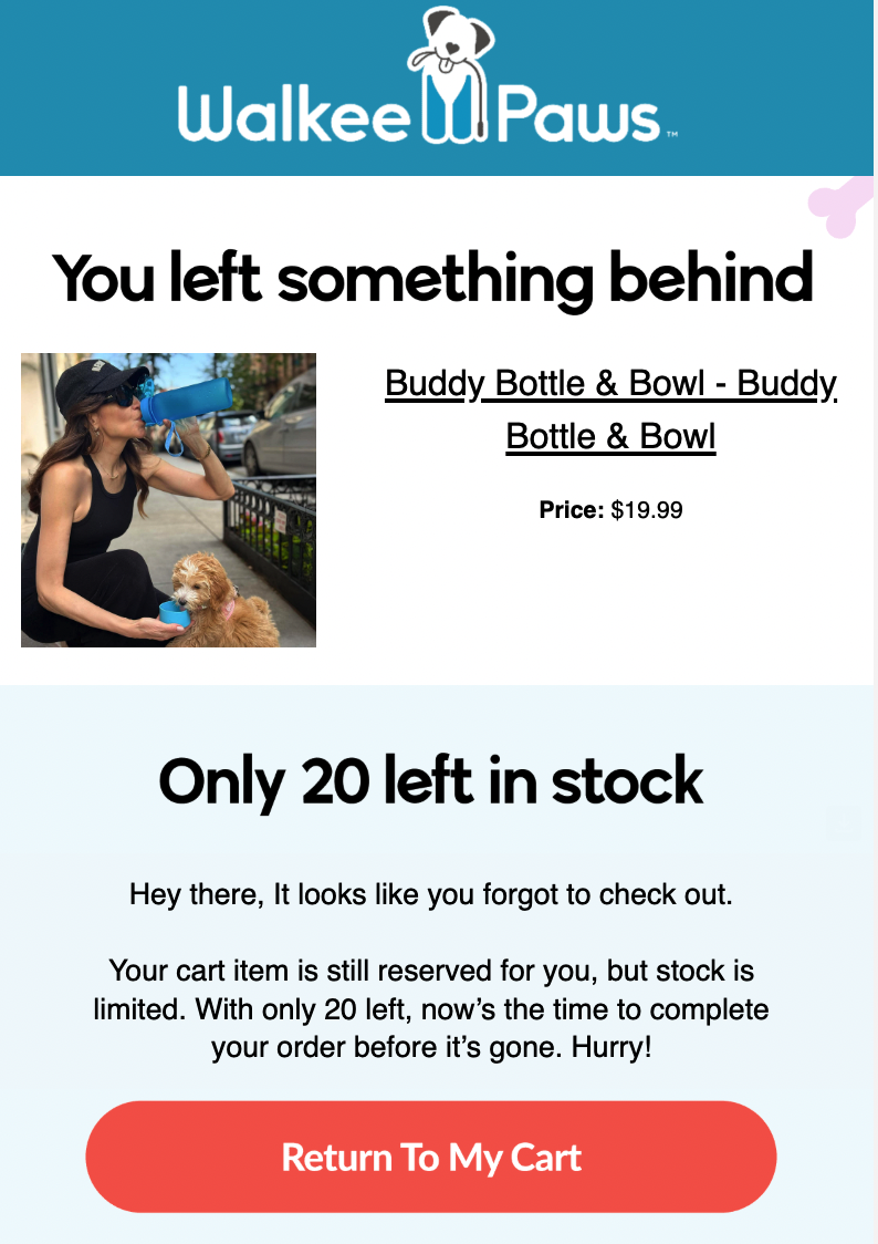 Abandoned cart recovery email