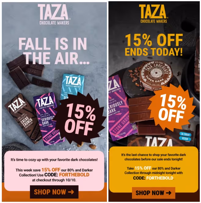 Shopify brand promo sale email example
