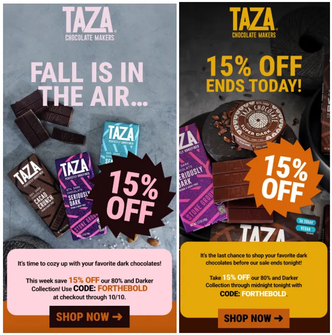 Shopify brand promo sale email example