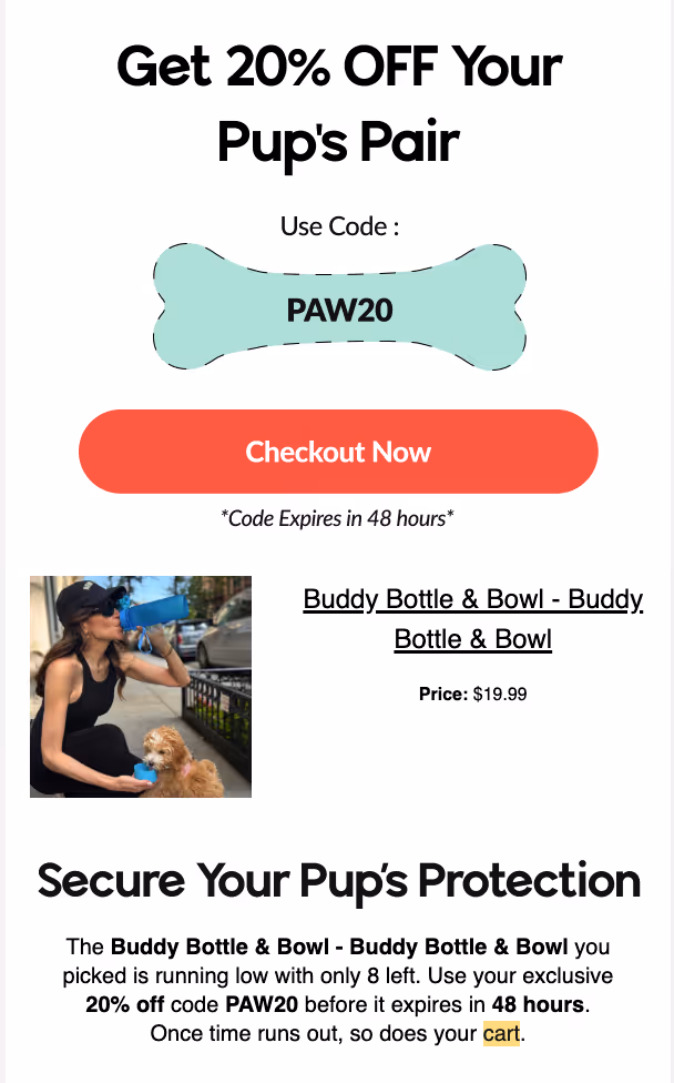 cart abandonment email examples