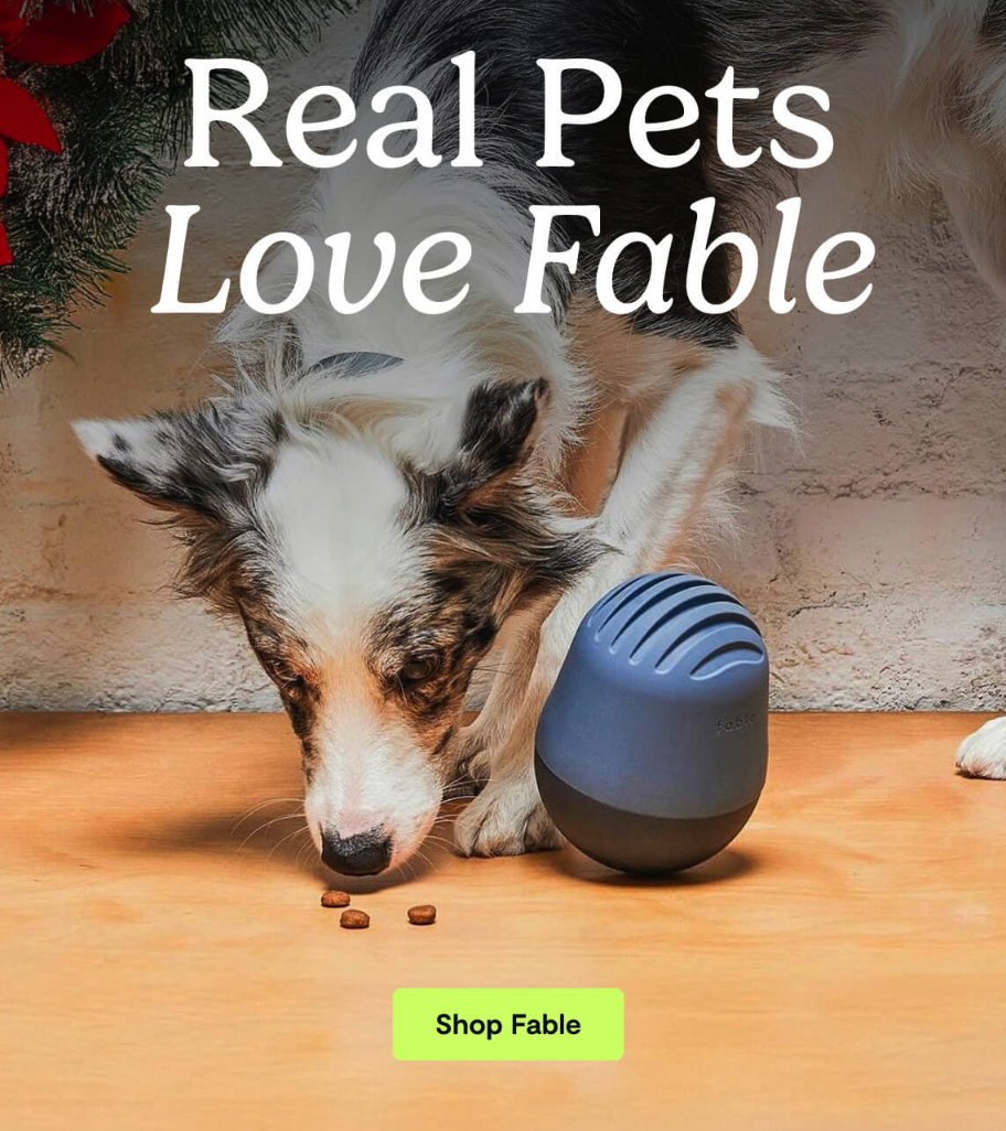 Win-back email by Fable, a shopify brand