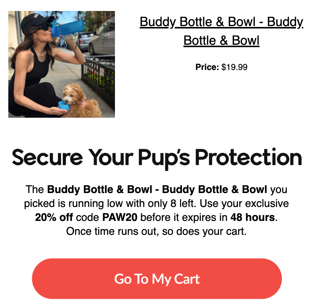 abandoned cart email series Walkee Paws with clear call to action (CTA)