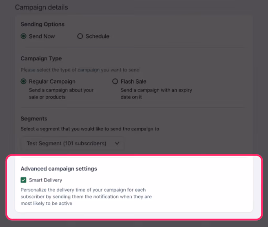 SMS campaign timing best practices