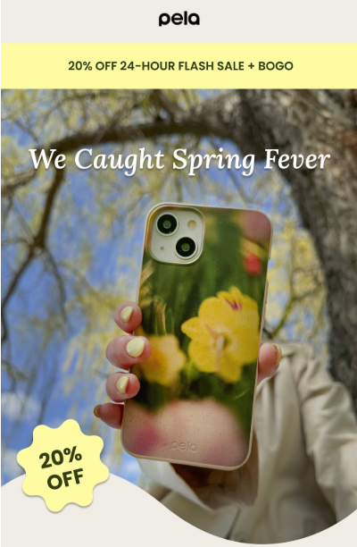 How to create marketing emails: flash sales