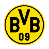 BVB Logo