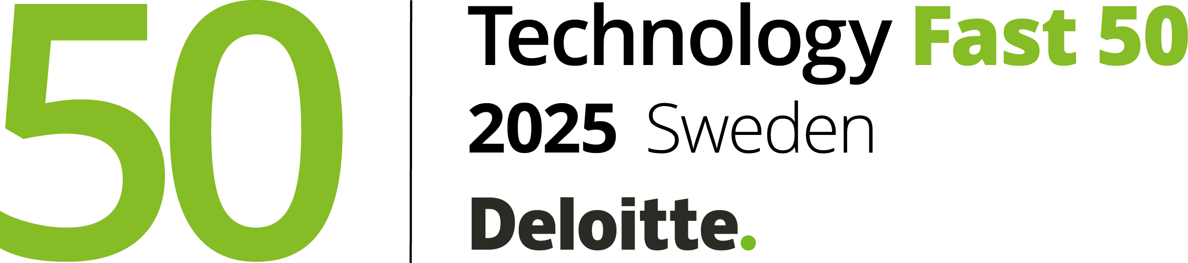Deloitte 500 technology 2025