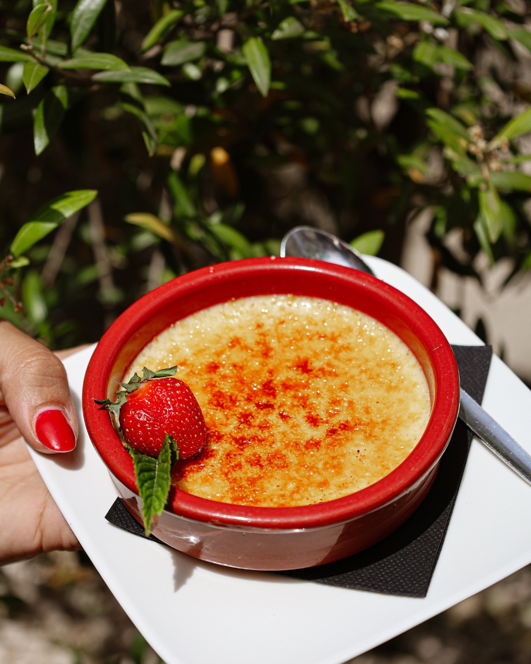 crème brûlée du gonzague