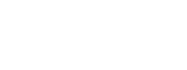 Conncise