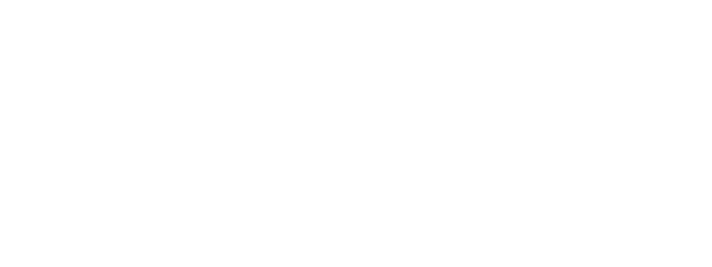 Basic Fit