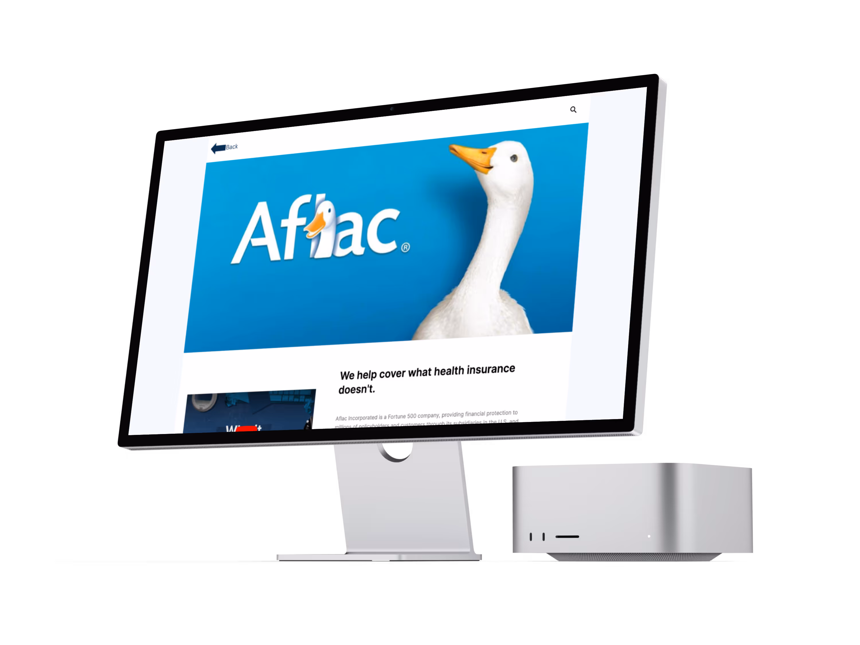 Aflac mockup