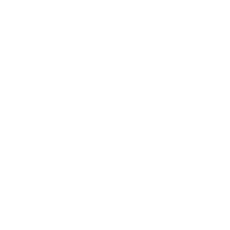 X page