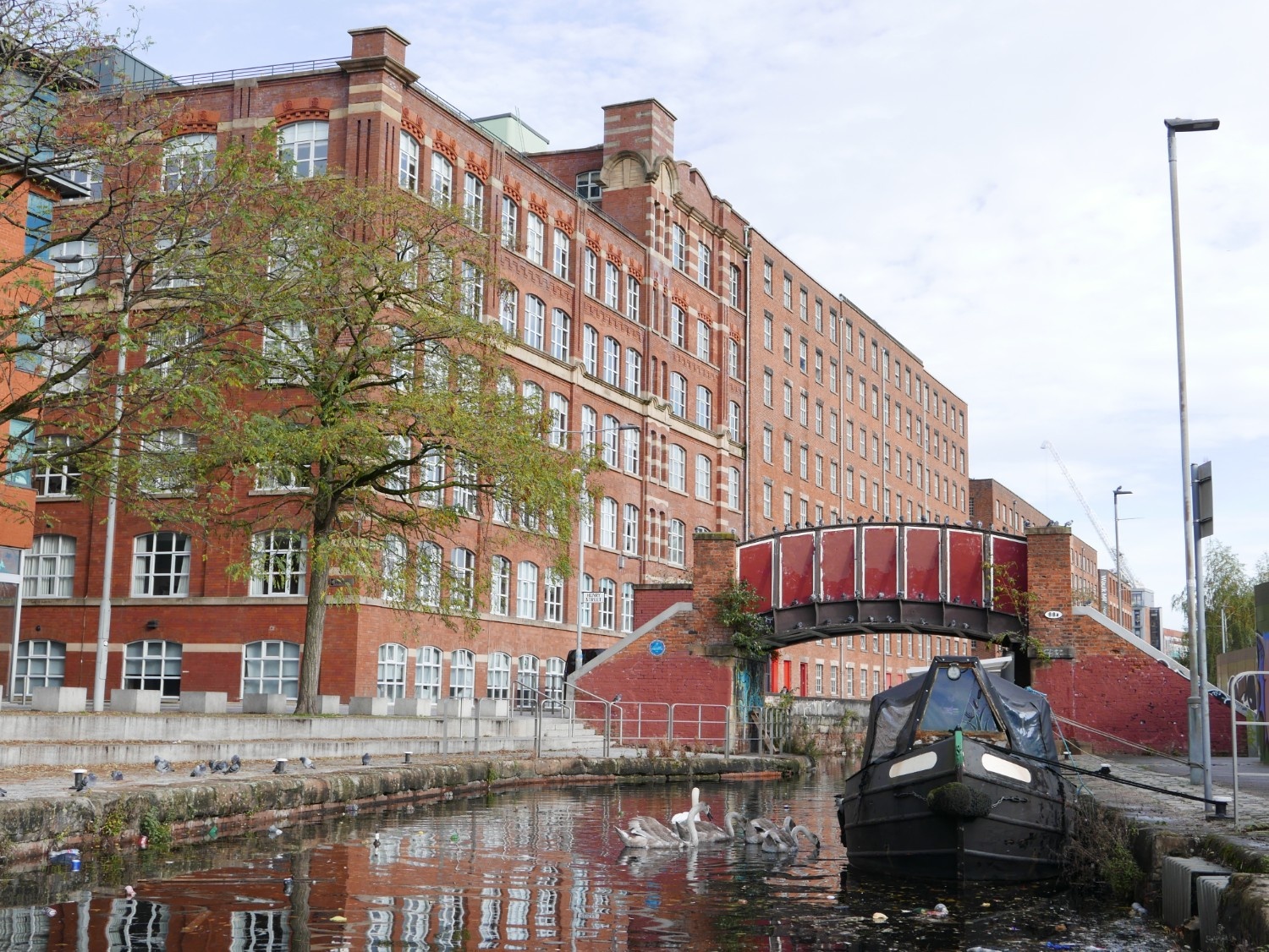 Meet the Team, Step Places Location