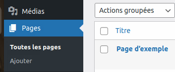 Création pages Wordpress