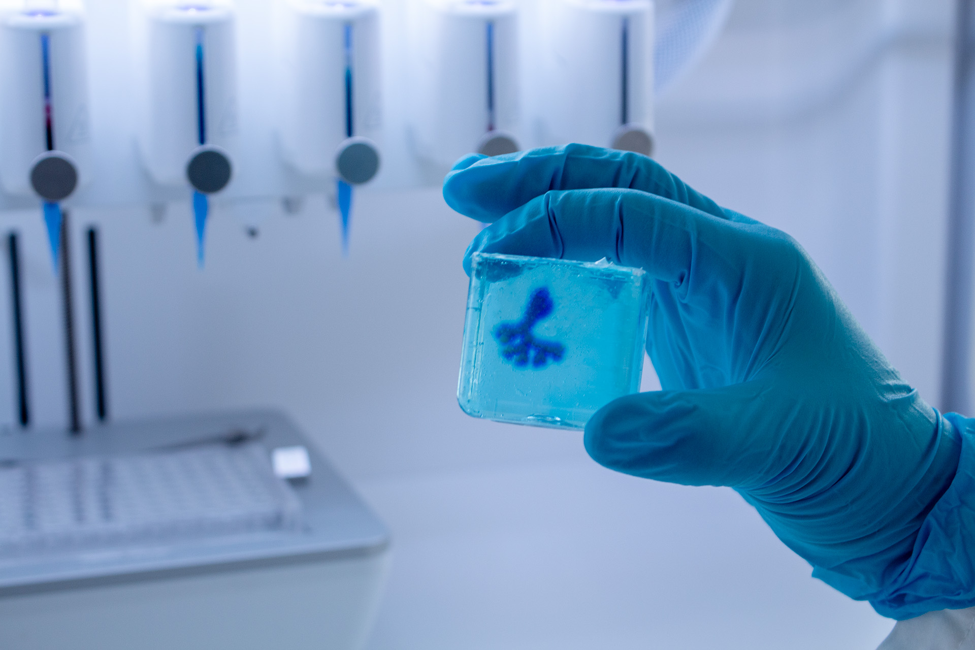 DNA Forma Lab ile düzlem dışı eş eksenli baskı yapılmış dallı damar yapısı