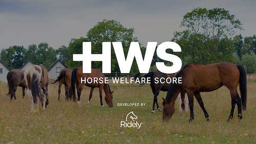 Ridely Launches Horse Welfare Score to Close the Equine Care Education Gap