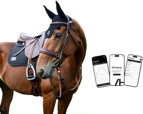 Printed Sensors Transform Equine Biomechanics 
