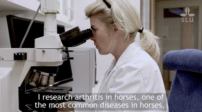 Introduction to Eva Skiöldebrand and Her Research 