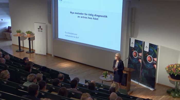 Presentation on Osteoarthritis in Horses by Eva Skiöldebrand