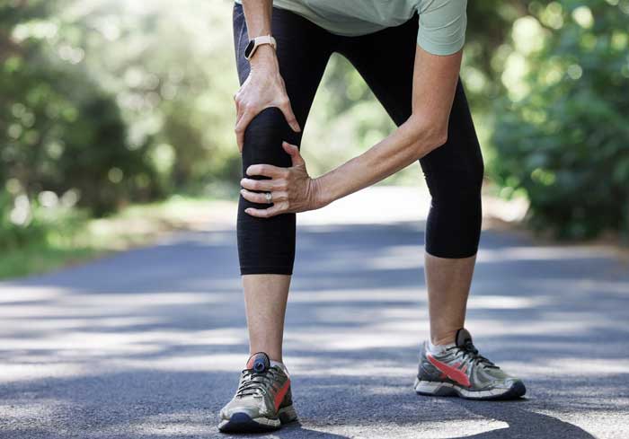Horse Medicine for Equine Arthritis May Also Benefit Humans (Göteborgs‑Posten, 23 Dec 2023)