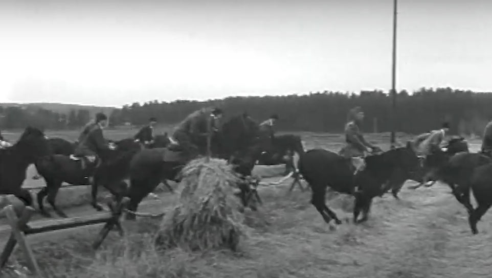 Gösta Ekman on Light wins the Hubertus Hunt