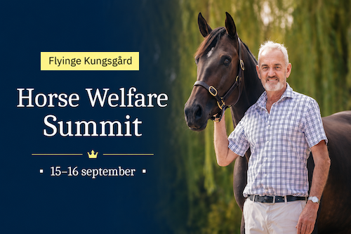 Dr Andrew McLean to Receive the Professor Ingvar Fredricson Foundation Scholarship at the 2026 Horse Welfare Summit