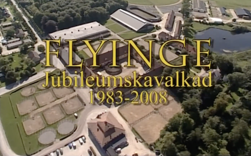 Flyinge’s 25 Years as a Foundation, Revisited: Four Directors on Saving and Building Sweden’s Equine Center
