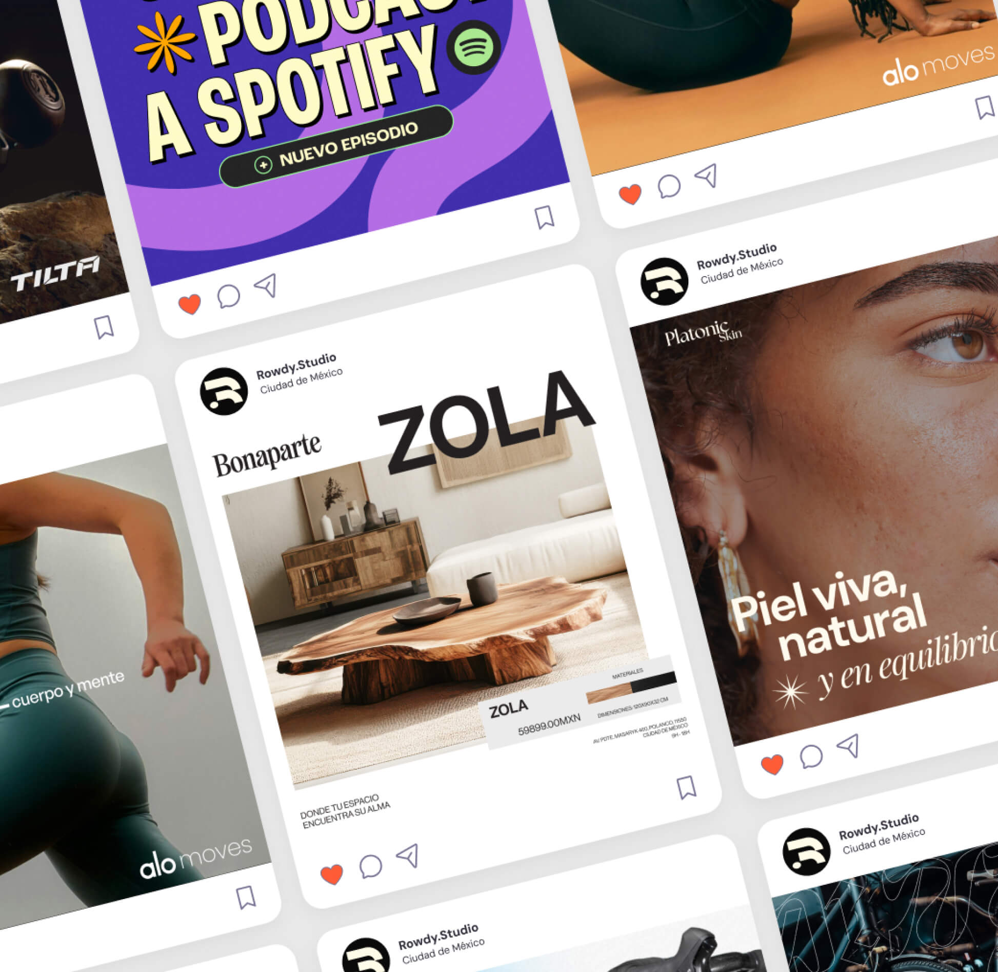 Sistema visual y diseño de marca para ecommerce desarrollado por Rowdy